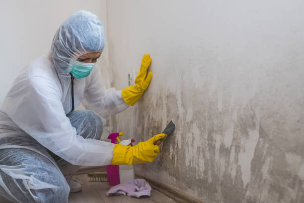 Mold Remediation for Vacation Homes in Half Moon, NC